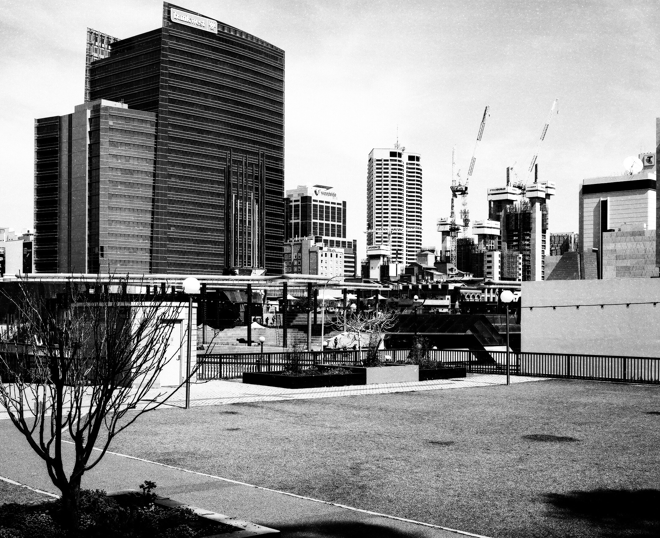 View of Bankwest Place from Perth Cultural. Taken in December 2018, with Mamiya 7ii and 80mm lens, and Kodak T-Max 100 120 film