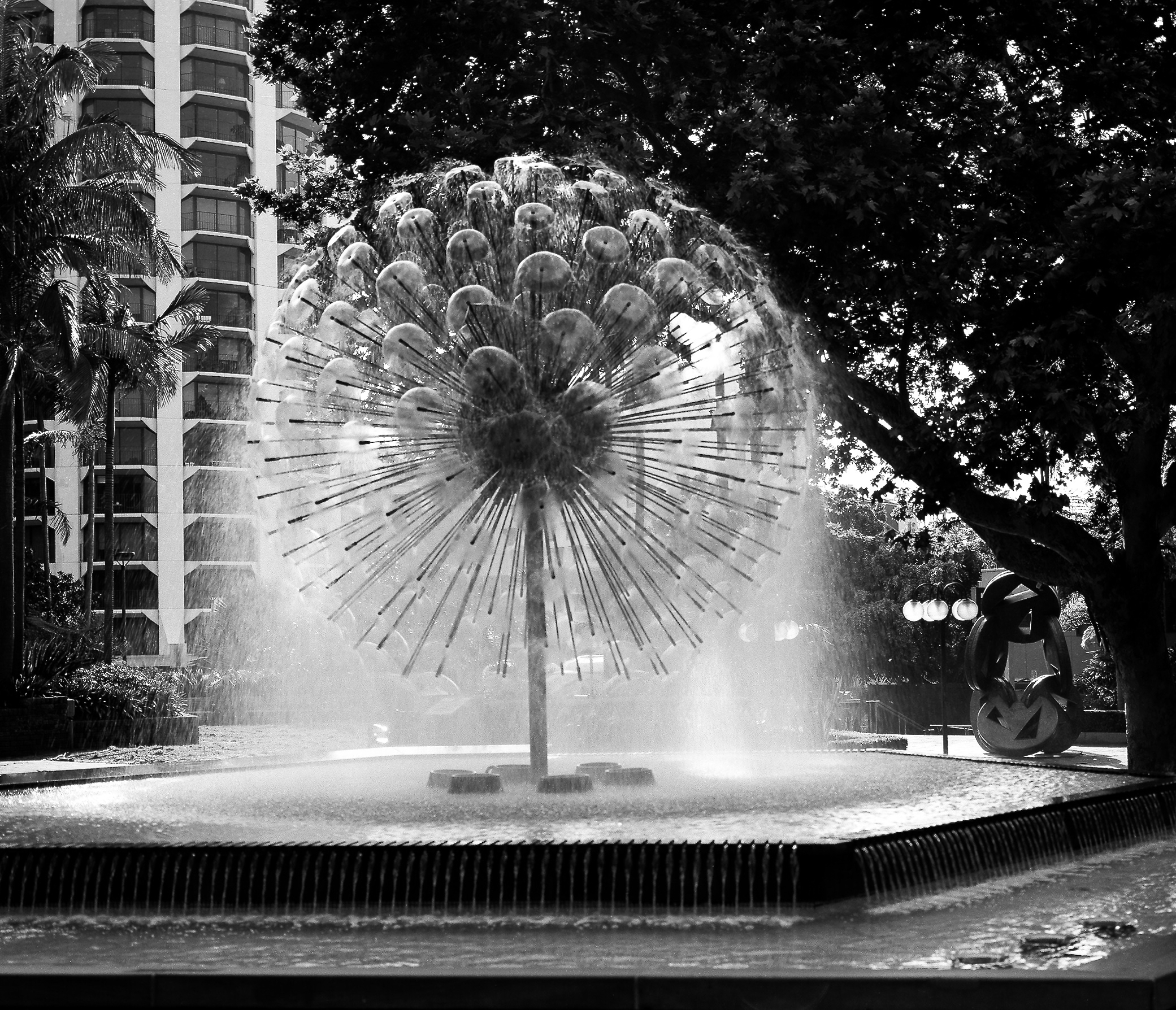 El Alamein Fountain, Kings Cross Sydney. Taken in October 2018, with Mamiya 7ii and 80mm lens, and Kodak T-Max 100 120 film