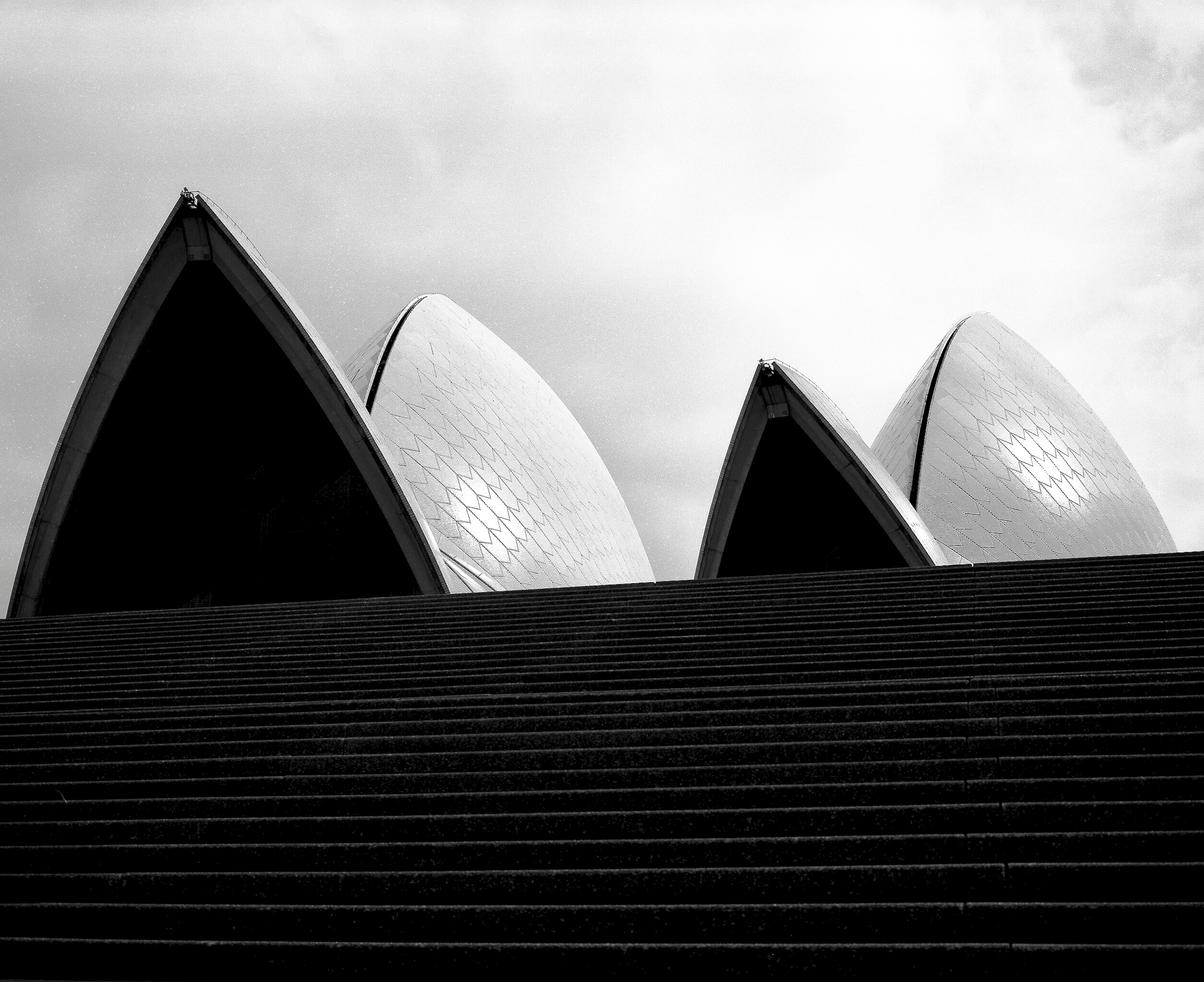 Sydney Opera House Stairs. Taken in October 2018, with Mamiya 7ii and 80mm lens, and Kodak T-Max 100 120 film