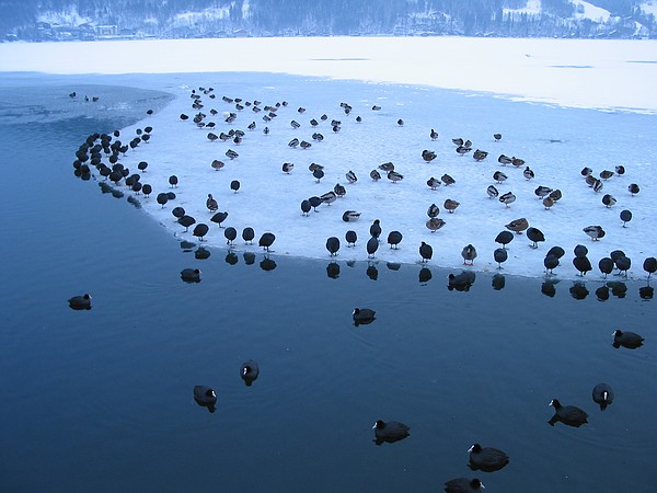 Zell Am See, Austria