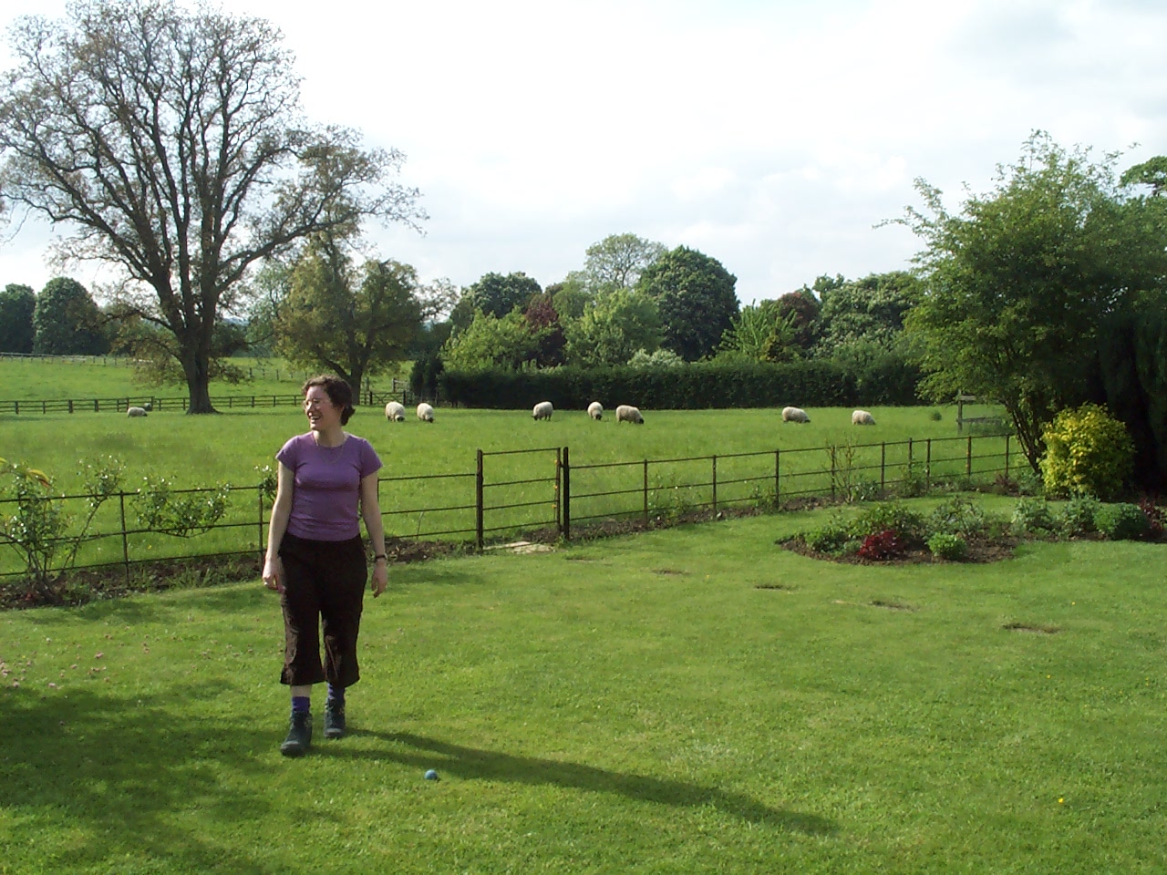 The backyard of the B & B